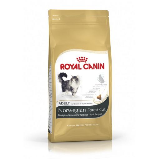 Royal Canin Feline Norwegian Forest Cat Adult 2kg