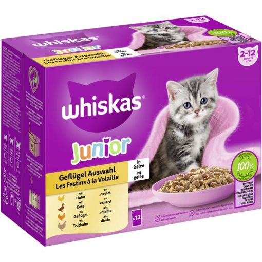 Whiskas Portionsbeutel Multipack Junior Geflügel Auswahl in Gelee 12 x 85g (Menge: 4 je Bestelleinheit)