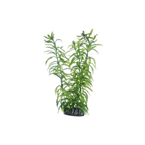 Dohse HOBBY Heteranthera 25 cm